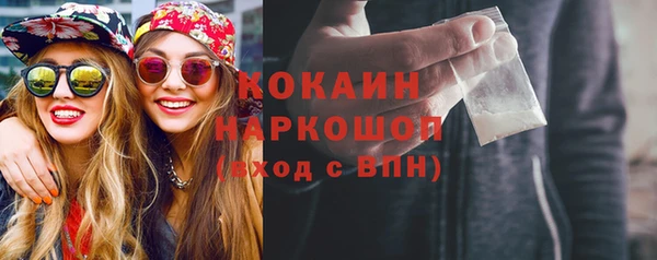 дмт Краснослободск