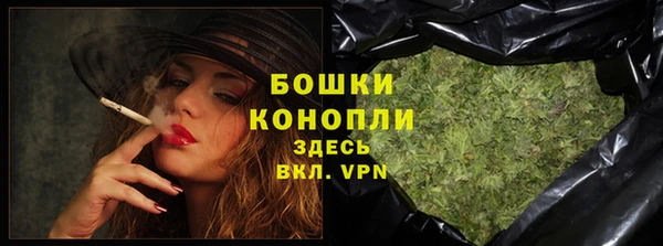дмт Краснослободск