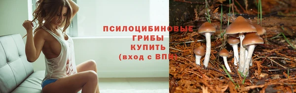 дмт Краснослободск
