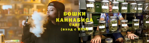 PSILOCYBIN Корсаков