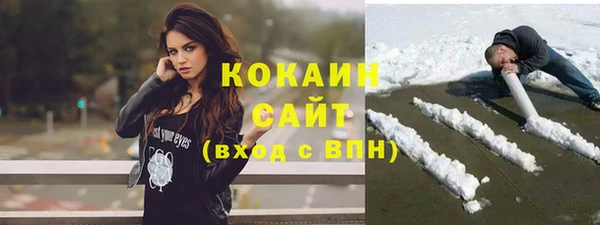 дмт Краснослободск