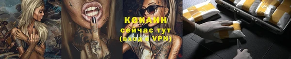 дмт Краснослободск