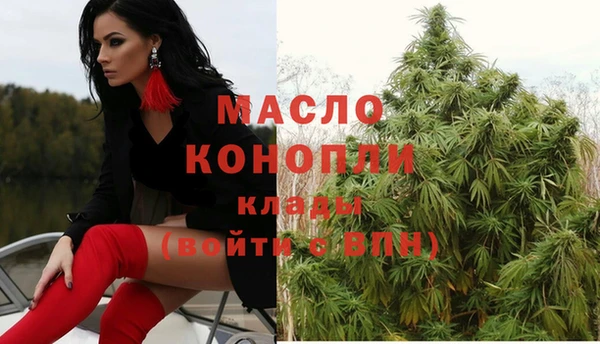 дмт Краснослободск