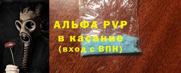 PSILOCYBIN Корсаков