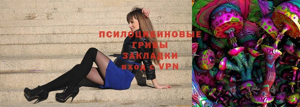 дмт Краснослободск