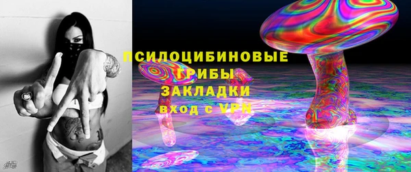 ПСИЛОЦИБИНОВЫЕ ГРИБЫ Краснотурьинск