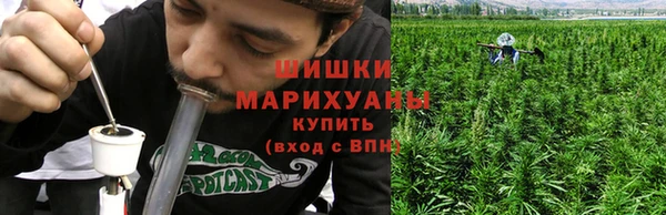 дмт Краснослободск