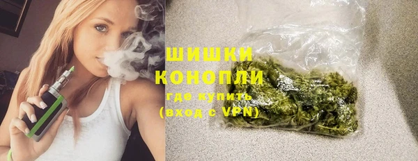 PSILOCYBIN Корсаков
