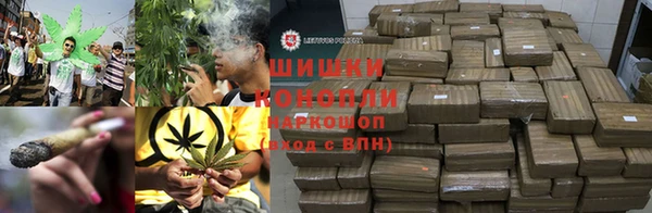 ПСИЛОЦИБИНОВЫЕ ГРИБЫ Краснотурьинск