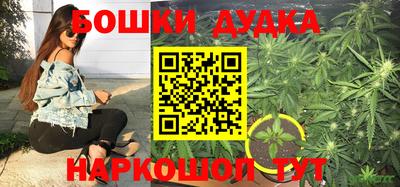 PSILOCYBIN Ликино-Дулёво