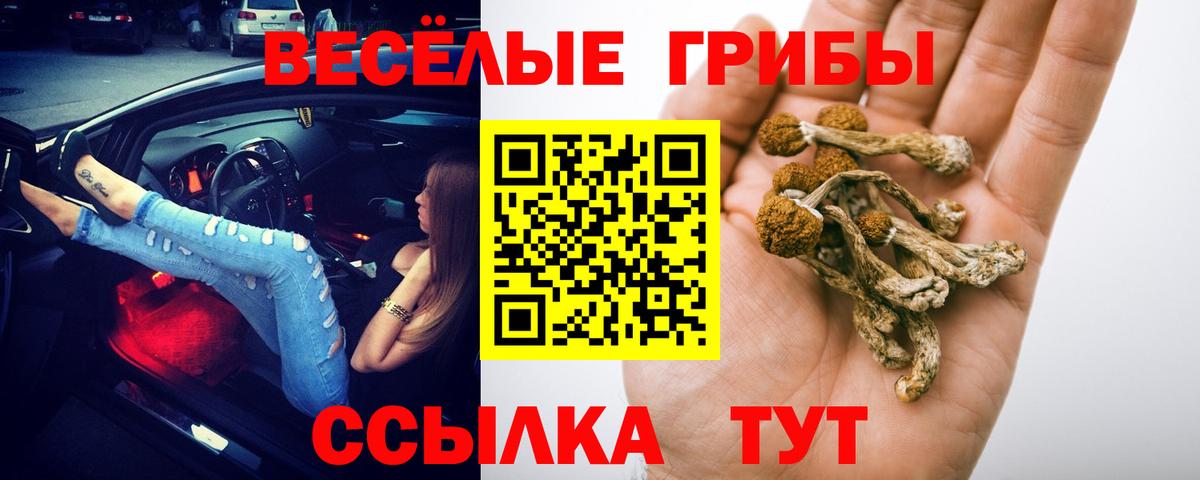 Лангепас  Галлюциногенные грибы GOLDEN TEACHER  Вход с VPN  Галлюциногенные грибы Magic Shrooms 